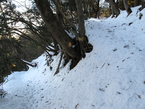 20180126hike (254)